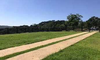 Imagem 6: Campo Largo, 52 alq, 125 ha, Haras, gado ou reflorestamento