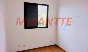 Imagem 6: Lindo apartamento em Horto Florestal