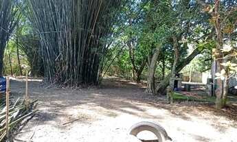 Imagem 6: Casa em dobro Casa com 5 dormitórios