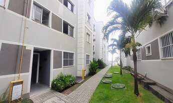 Imagem 6: Vendo excelente apartamento 2 qts reformado no Recanto do Farol em Rio Doce - Olinda