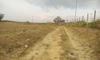 Imagem 4: C- Um lindo Lago