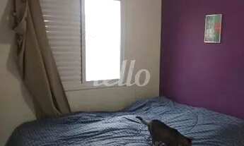 Imagem 6: São Paulo - Apartamento Padrão - Jardim Independência