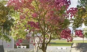 Imagem 4: Terreno à venda em Biguaçu bairro Bairro Deltaville R$ 306.000,00