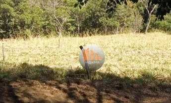Imagem 5: Fazenda à venda, 62.92 hectares por R$ 2.400.000 - Zona Rural - Luziânia/GO