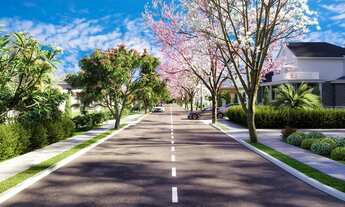 Imagem 4: Lote Vinhas Flamboyant