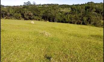 Imagem 3: Área pasto 20.000m2 COCUERA