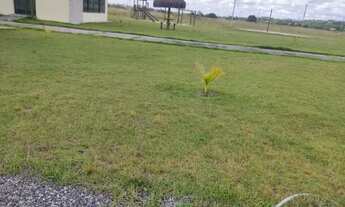 Imagem 4: Vendo Lote no Condomínio Goiana Beach Life(Quitado)