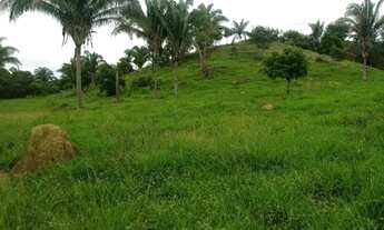 Imagem 7: Chácara 9.4 Alq. Na Marília