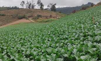 Imagem 2: Venda-se Chácara em PEDRA AZUL em Arrace/ES