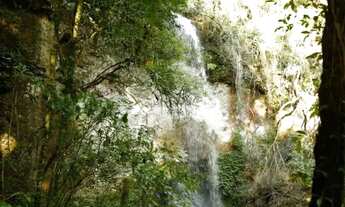 Imagem 3: Sitio - Bairro Santa Terezinha