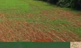 Imagem: Chacaras de mil metros