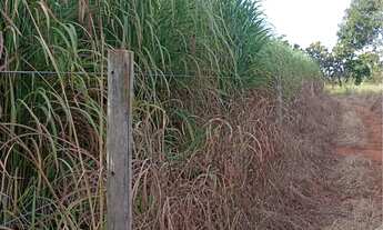 Imagem 4: ?Fazenda 5 alqueires à venda. Aceito casa no negócio com volta