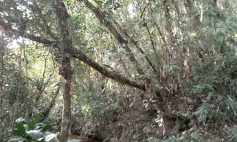 Imagem 7: 5 hectares 100 mil reais