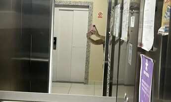 Imagem 5: Apartamento à venda no HORIZONTES DO LITORAL , CRUZ DAS ALMAS , Maceió, AL