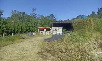 Imagem 5: Sítio em Estrada do Oura - Ipelândia - Suzano/SP