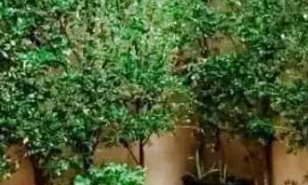 Imagem 3: Imóvel para venda possui 149 metros quadrados com 3 quartos em São Cristóvão - Teresina