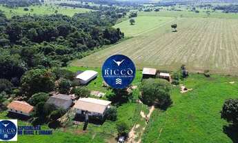 Imagem 2: Fazenda à Venda em Cezarina 20 Alqueires Produtivos, Próxima a Goiânia