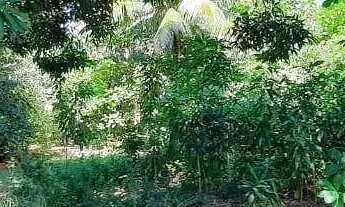 Imagem 3: Terreno à venda, 2640 m² por R$ 2.600.000,00 - Vila Valqueire - Rio de Janeiro/RJ