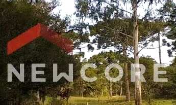 Imagem 6: Chácara em Estrada geral - Contendas - São Francisco de Paula/RS