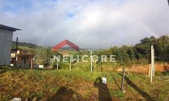 Imagem 7: Lote em Estrada dos Hengles - Ressaca - Cotia/SP