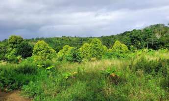 Imagem 2: Vendo maravilhoso sítio em Valença p