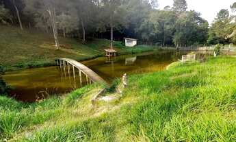 Imagem 4: Terreno plano com natureza