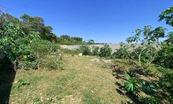 Imagem 6: Tereno a venda no Pero 420m2 plano com RGI