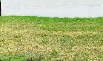 Imagem 2: Lote/Terreno para venda com 418 metros quadrados em Vila do Golf - Ribeirão Preto - São Pa