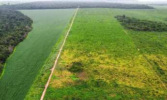 Imagem 2: Fazenda 1.024 hec em nova motum MT. 200hec abertos pega imóveis 30 milhões