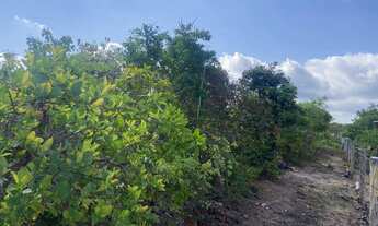 Imagem 5: Terreno Chapada dos guimaraes