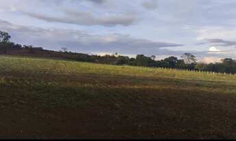 Imagem: Vende chácara de 15 alqueires dupla aptidão