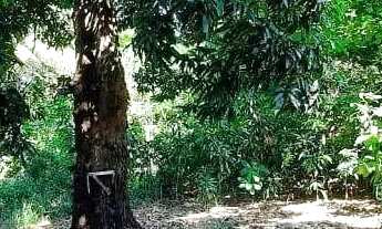 Imagem 4: Terreno à venda, 2640 m² por R$ 2.600.000,00 - Vila Valqueire - Rio de Janeiro/RJ