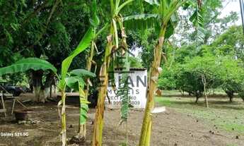 Imagem 7: Chácara à venda em Rosário Oeste: 3 quartos, 2 banheiros, 10 ha. Frente de 60m para o Rio