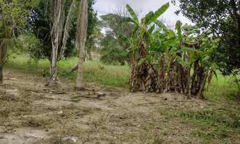 Imagem 6: Fazenda à Venda em Crixás (GO) 30 Alqueires Estrutura Completa
