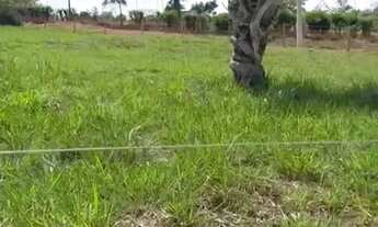 Imagem 7: Chácara 1.416m² - Terra Santa Trindade - GO