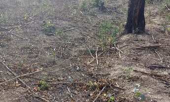 Imagem 2: Chacara em areias pedro leopoldo mil metros não tem escritura mas tem contrato ac.carro
