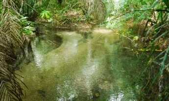 Imagem: Alta demanda, baixa oferta invista antes