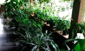 Imagem 3: Vendo Chácara próximo ao Gama