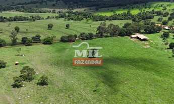 Imagem 4: Fazenda 32 alqueires (154,88 hectares) Iporá - Go