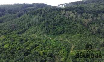 Imagem 7: Área de terra com 33,6ha em Montenegro