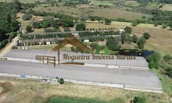 Imagem 4: Sitio com granjas, 200 mil aves