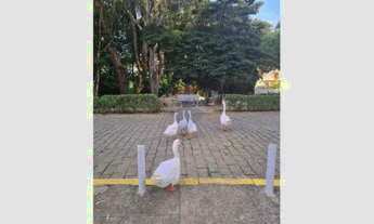 Imagem 6: Excelente apartamento todo reformado no Condomínio Quisisana , toda infraestrutura de um c