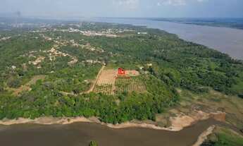 Imagem 6: Terreno com 75.000 m² em Iramdunda / Terreno com 75.000 m² há 3km da Cidade de Iranduba/AM