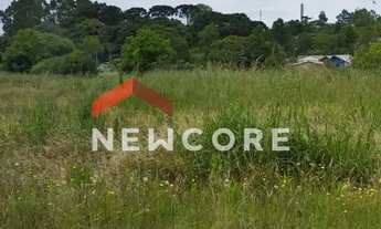 Imagem 2: Lote em Rua Belerophonte Albuquerque - Centro - São Francisco de Paula/RS