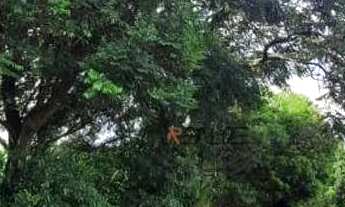 Imagem 7: Área à venda, 45000 m² por R$ 1.200.000 - Área Rural - Monte Mor/SP