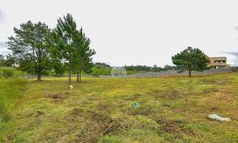 Imagem 4: Imóvel para venda com 3905 metros quadrados em Jardim Creplive - Quatro Barras - PR