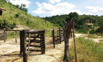 Imagem 7: Terreno de 9,7 alqueires