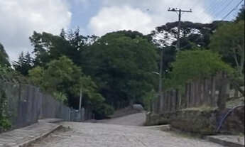 Imagem 6: Terreno 4ha - Vista fantástica de Bento Gonçalves - Cond Fechado