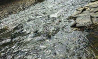 Imagem 3: Lindo sitio de 10 mil metros, Jaboticatubas (Temos varias opções