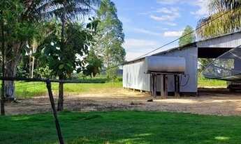 Imagem 4: Fazenda Campos Lindos